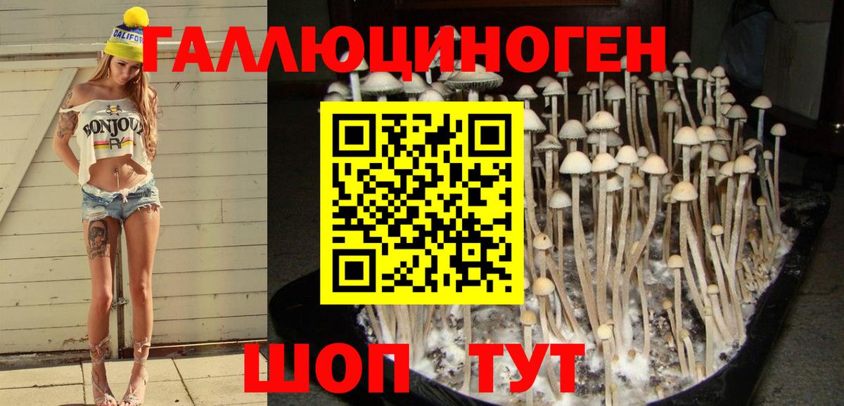 Псилоцибиновые грибы Magic Shrooms Чернушка